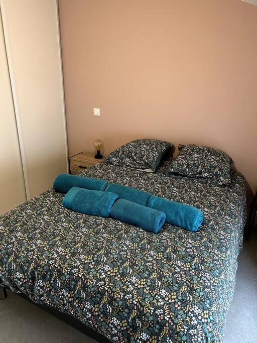 Апартаменты Le Cosy Grenier De Pauline Et Flo Cessenon-sur-Orb Экстерьер фото